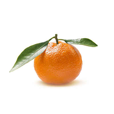 Clementine-Extra