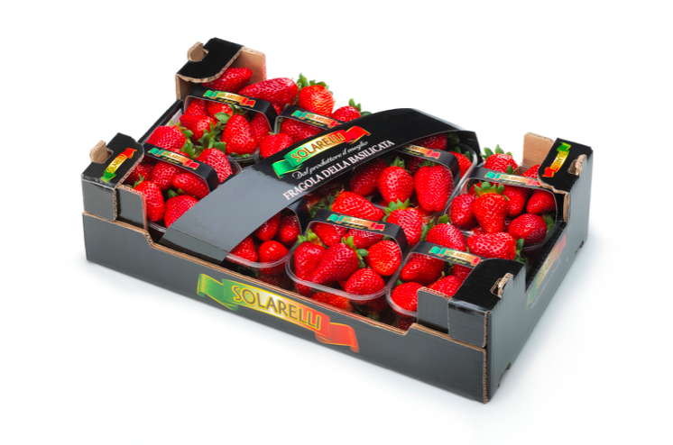 Fragole-Trentino-Extra-Cassa-2-Kg-Circa