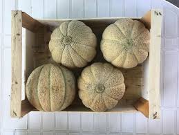 Meloni-Cassa-10-Kg-Circa