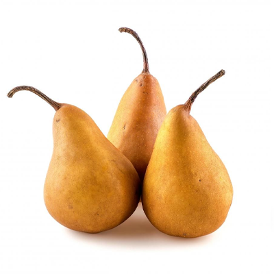 Pere-Kaiser-Calibro-Medio